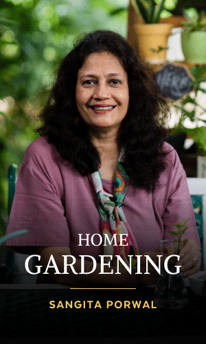 Home Gardening 101 by Sangita Porwal
