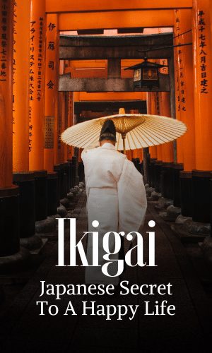 Ikigai: The Japanese secret to a long and happy life - Baw Book Recommendation
