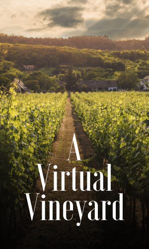 York Vineyard - A Virtual Experience Of Wine With Master Sommelier