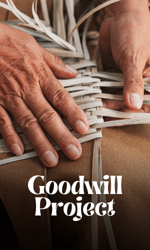 The GoodWill Project