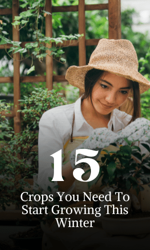 15 Crops You Should Try Growing This Fall Or Winter