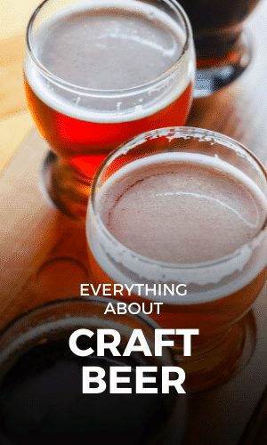 Everything You Need To Know About Craft Beer