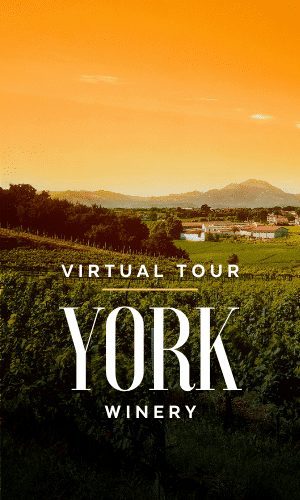 Virtual Winery Tour: York
