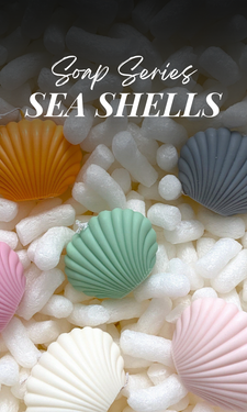 DIY Seashell Soap Making Kit